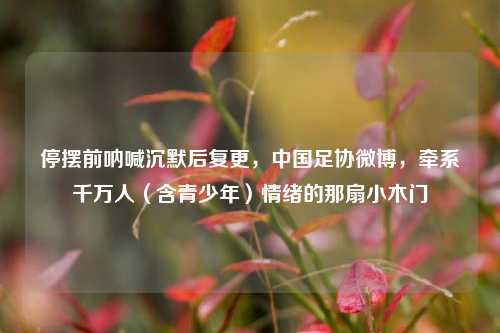 停摆前呐喊沉默后复更,中国足协微博,牵系千万人(含青少年)情绪的那扇小木门
