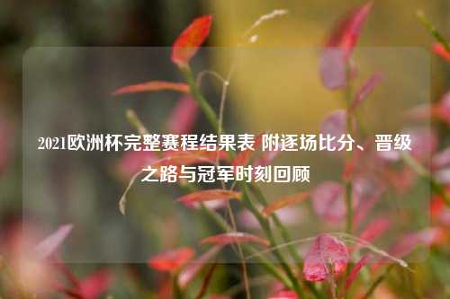 2021欧洲杯完整赛程结果表 附逐场比分、晋级之路与冠军时刻回顾