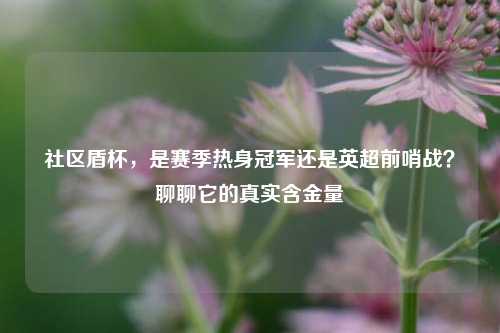社区盾杯，是赛季热身冠军还是英超前哨战？聊聊它的真实含金量