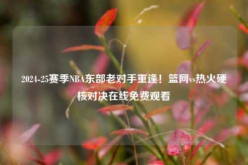 2024-25赛季NBA东部老对手重逢!篮网vs热火硬核对决在线免费观看