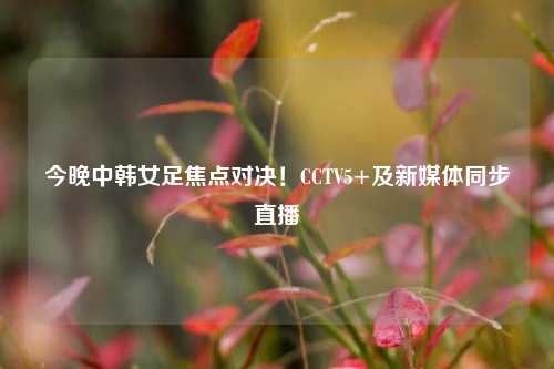 今晚中韩女足焦点对决!CCTV5+及新媒体同步直播