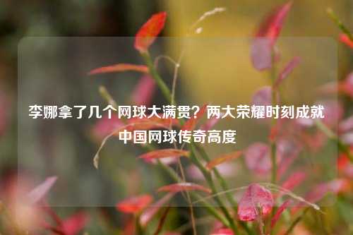 李娜拿了几个网球大满贯?两大荣耀时刻成就中国网球传奇高度