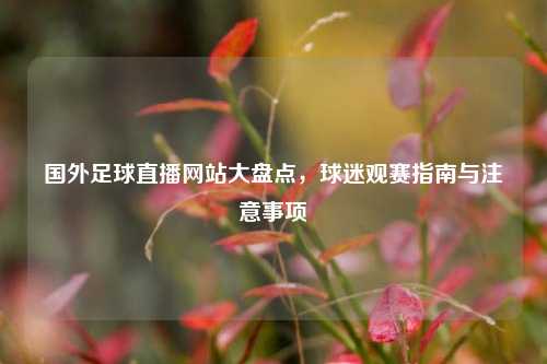 国外足球直播网站大盘点,球迷观赛指南与注意事项