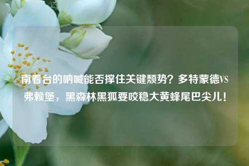 南看台的呐喊能否撑住关键颓势?多特蒙德VS弗赖堡,黑森林黑狐要咬稳大黄蜂尾巴尖儿!