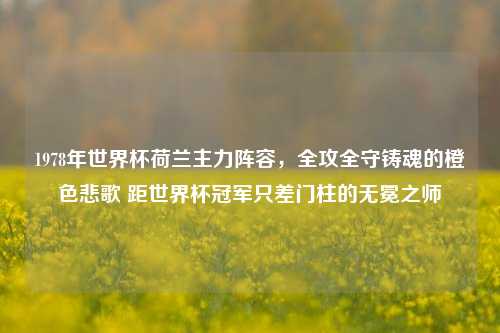 1978年世界杯荷兰主力阵容,全攻全守铸魂的橙色悲歌 距世界杯冠军只差门柱的无冕之师