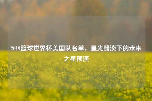 2019篮球世界杯美国队名单,星光黯淡下的未来之星预演