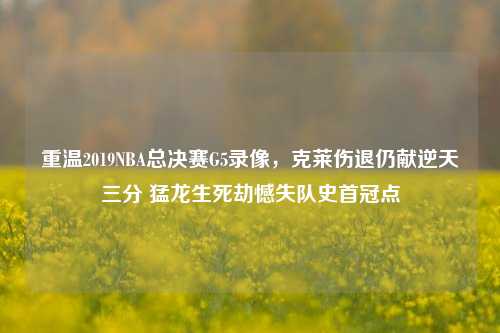 重温2019NBA总决赛G5录像,克莱伤退仍献逆天三分 猛龙生死劫憾失队史首冠点