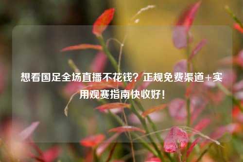 想看国足全场直播不花钱?正规免费渠道+实用观赛指南快收好!