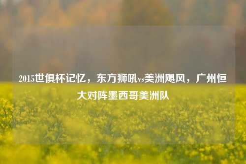 2015世俱杯记忆,东方狮吼vs美洲飓风,广州恒大对阵墨西哥美洲队