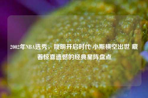 2002年NBA选秀,姚明开启时代 小斯横空出世 藏着惊喜遗憾的经典星阵盘点
