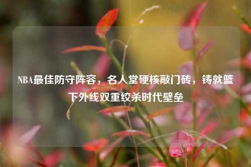 NBA更佳防守阵容,名人堂硬核敲门砖,铸就篮下外线双重绞杀时代壁垒