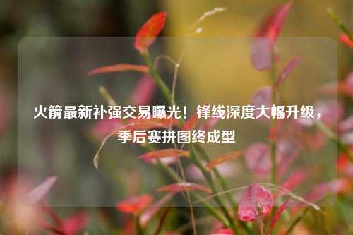 火箭最新补强交易曝光!锋线深度大幅升级,季后赛拼图终成型