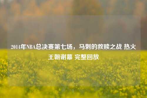2014年NBA总决赛第七场,马刺的救赎之战 热火王朝谢幕 完整回放
