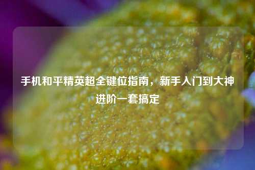 手机和平精英超全键位指南,新手入门到大神进阶一套搞定