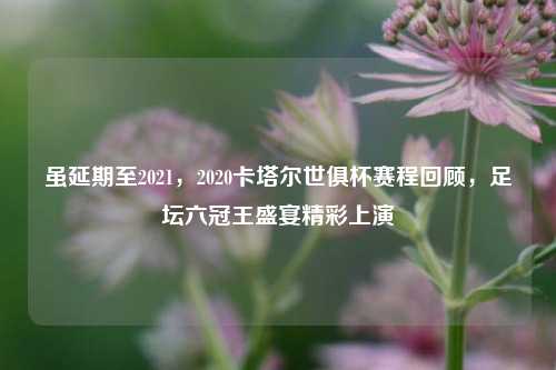 虽延期至2021,2020卡塔尔世俱杯赛程回顾,足坛六冠王盛宴精彩上演