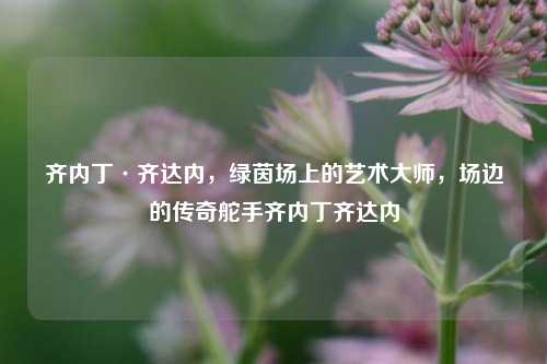 齐内丁·齐达内，绿茵场上的艺术***，场边的传奇舵手齐内丁齐达内