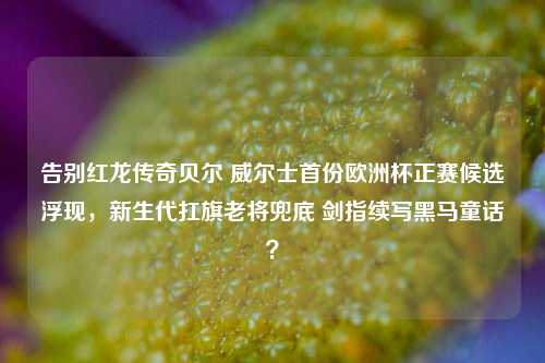 告别红龙传奇贝尔 威尔士首份欧洲杯正赛候选浮现,新生代扛旗老将兜底 剑指续写黑马童话?