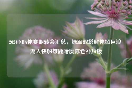 2024 NBA休赛期转会汇总,绿军双塔解体掀巨浪 湖人快船雄鹿暗度陈仓补短板