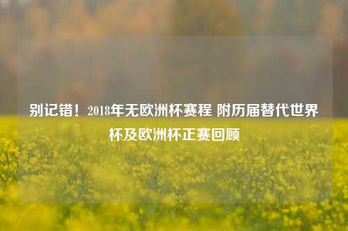 别记错!2018年无欧洲杯赛程 附历届替代世界杯及欧洲杯正赛回顾
