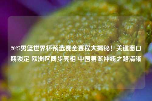 2027男篮世界杯预选赛全赛程大揭秘!关键窗口期锁定 欧洲区同步亮相 中国男篮冲线之路清晰