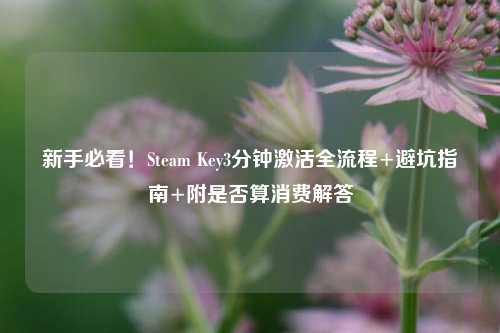 新手必看!Steam Key3分钟激活全流程+避坑指南+附是否算消费解答