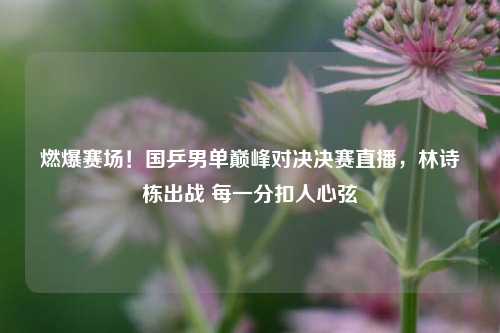燃爆赛场!国乒男单巅峰对决决赛直播,林诗栋出战 每一分扣人心弦