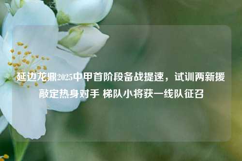 延边龙鼎2025中甲首阶段备战提速,试训两新援敲定热身对手 梯队小将获一线队征召
