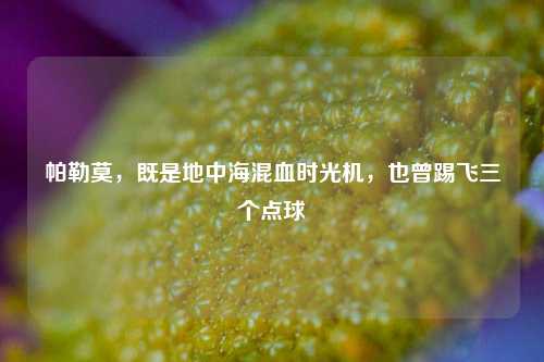 帕勒莫,既是地中海混血时光机,也曾踢飞三个点球