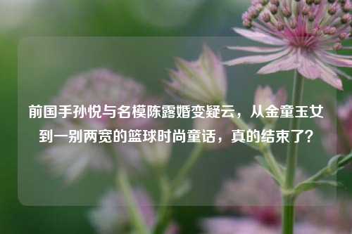 前国手孙悦与名模陈露婚变疑云,从金童玉女到一别两宽的篮球时尚童话,真的结束了?