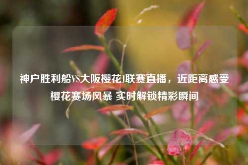 神户胜利船VS大阪樱花J联赛直播,近距离感受樱花赛场风暴 实时解锁精彩瞬间