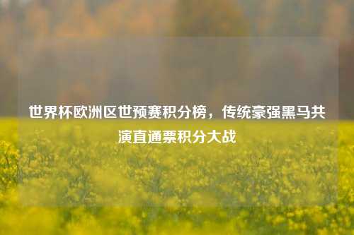 世界杯欧洲区世预赛积分榜,传统豪强黑马共演直通票积分大战