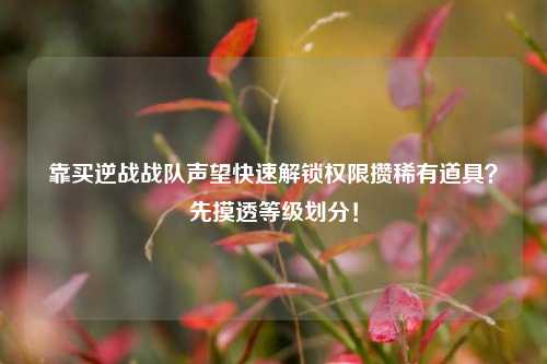 靠买逆战战队声望快速解锁权限攒稀有道具?先摸透等级划分!