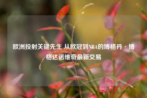 欧洲投射关键先生 从欧冠到NBA的博格丹·博格达诺维奇最新交易