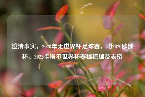 澄清事实,2020年无世界杯足球赛,附2020欧洲杯、2022卡塔尔世界杯赛程梳理及表格