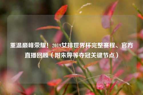 重温巅峰荣耀!2019女排世界杯完整赛程、官方直播回顾(附朱婷等夺冠关键节点)