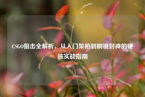 CSGO狙击全解析,从入门架枪到瞬镜封神的硬核实战指南