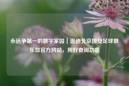永远争之一的数字家园|逛透北京国安足球俱乐部官方网站,用好查询功能