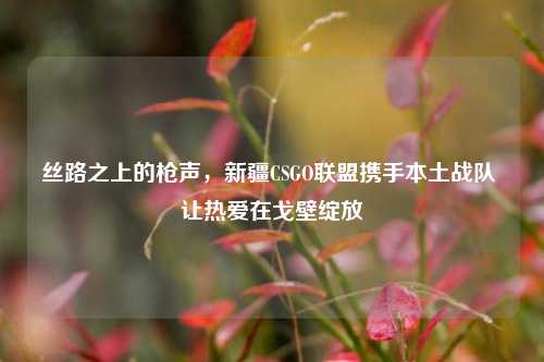 丝路之上的枪声,新疆CSGO联盟携手本土战队 让热爱在戈壁绽放