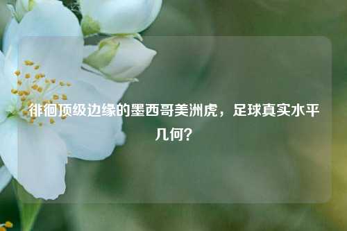 徘徊顶级边缘的墨西哥美洲虎,足球真实水平几何?