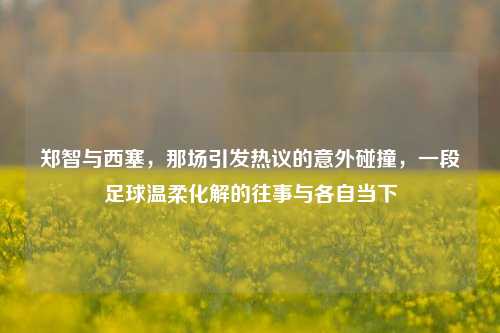 郑智与西塞,那场引发热议的意外碰撞,一段足球温柔化解的往事与各自当下
