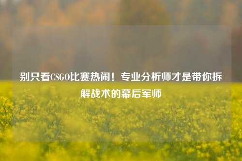 别只看CSGO比赛热闹!专业分析师才是带你拆解战术的幕后军师