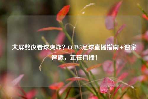 大屏熬夜看球爽炸?CCTV5足球直播指南+独家速戳,正在直播!