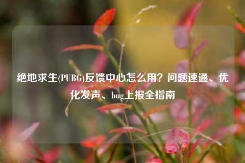 绝地求生(PUBG)反馈中心怎么用?问题速通、优化发声、bug上报全指南