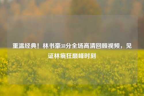 重温经典!林书豪38分全场高清回顾视频,见证林疯狂巅峰时刻