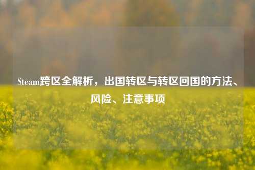 Steam跨区全解析,出国转区与转区回国的 *** 、风险、注意事项