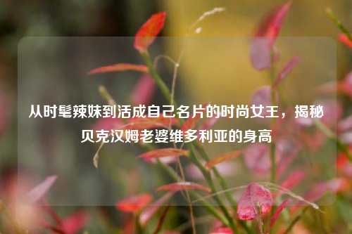 从时髦辣妹到活成自己名片的时尚女王,揭秘贝克汉姆老婆维多利亚的身高