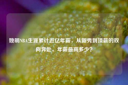 姚明NBA生涯累计近亿年薪，从新秀到顶薪的双向奔赴，年薪更高多少？