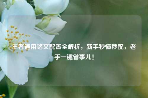 王者通用铭文配置全解析,新手秒懂秒配,老手一键省事儿!