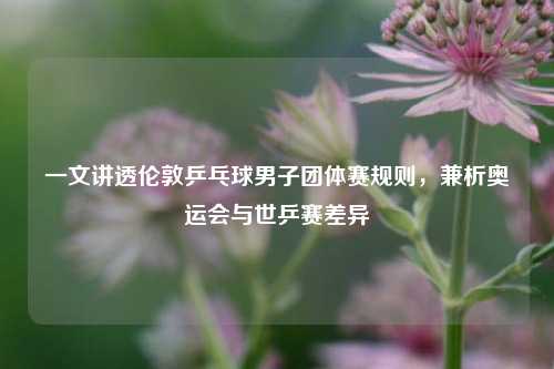 一文讲透伦敦乒乓球男子团体赛规则,兼析奥运会与世乒赛差异