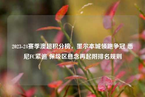 2023-24赛季澳超积分榜,墨尔本城领跑争冠 悉尼FC紧追 保级区悬念再起附排名规则